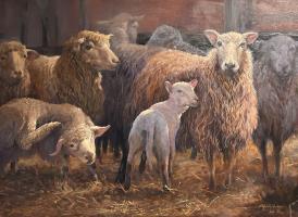 Sheep - The Matriarch